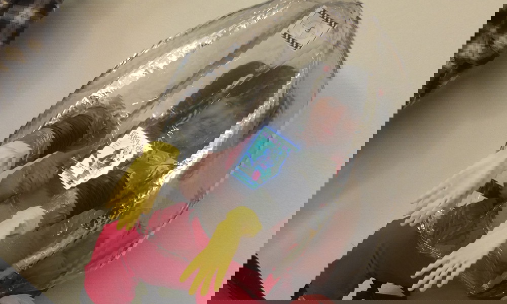 22