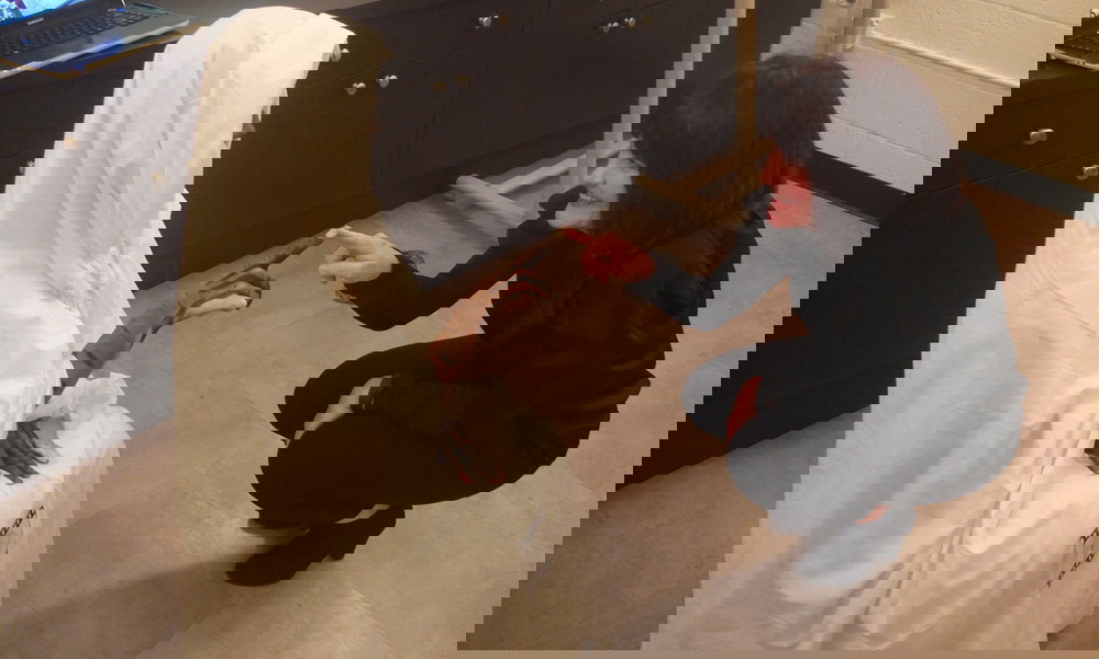 31